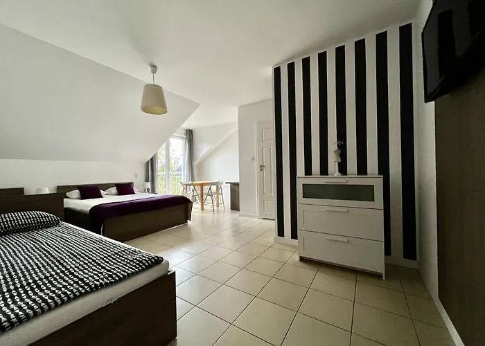 Проживание в семье Cicha *