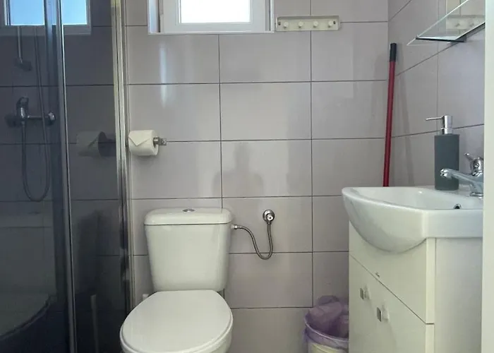 Проживание в семье Cicha *