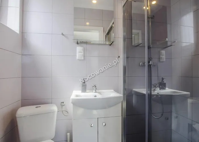 Проживание в семье Cicha *